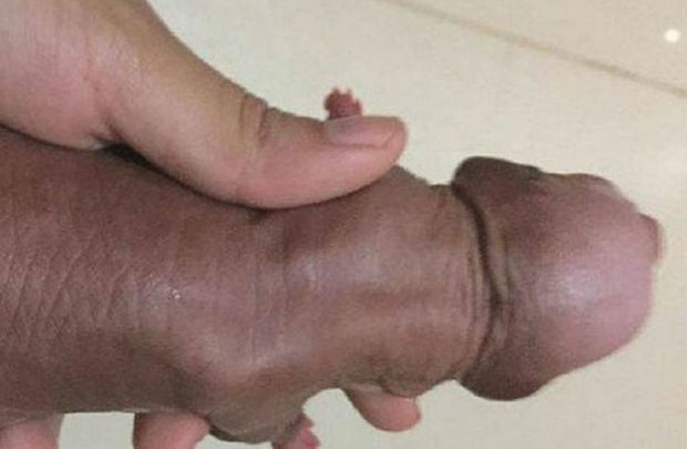 Facebook censura foto de filhote da raça xoloitzcuintle filhote 620x405 - Facebook censura foto de filhote da raça xoloitzcuintle