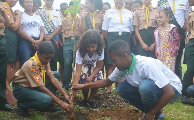 Feira de Santana celebra o Dia do Meio-Ambiente com ações educativas mudas 653x405 - Feira de Santana celebra o Dia do Meio-Ambiente com ações educativas
