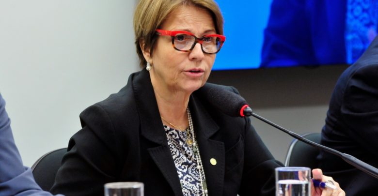 Futura ministra de Bolsonaro promete dar espaço para debater uso de agrotóxicos tereza cristina 780x405 - Futura ministra de Bolsonaro promete dar espaço para debater uso de agrotóxicos