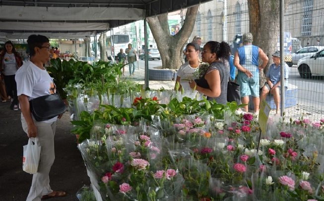 Feira em Flores de Holambra será encerrada no domingo FLORES HOLAMBRA 653x405 - Feira em Flores de Holambra será encerrada no domingo
