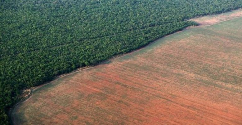 Ministério alemão diz que vai suspender investimento de R$ 155 milhões na Amazônia floresta 780x405 - Ministério alemão diz que vai suspender investimento de R$ 155 milhões na Amazônia