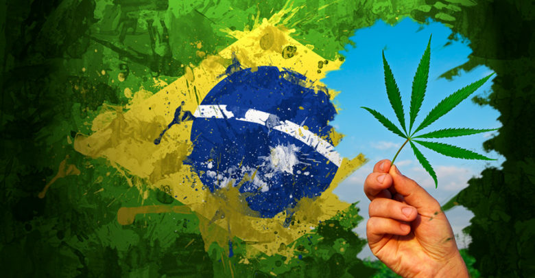 Para 54%, maconha não deve ser legalizada no Brasil – Renato Ribeiro