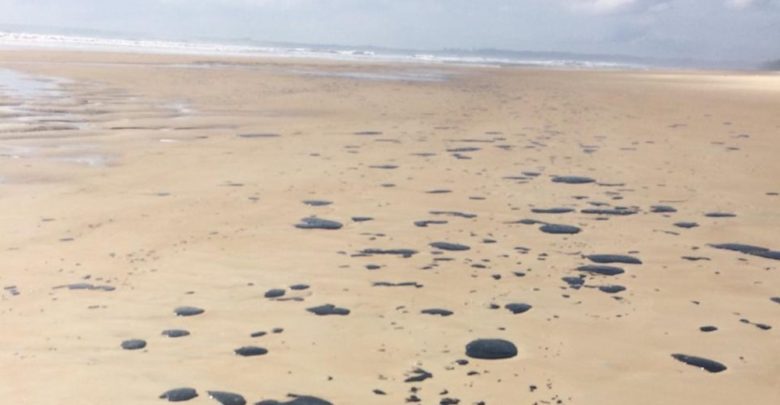 Praia do Forte tem novos registros de manchas de óleo whatsapp image 2019 10 25 at 09.09.18 1 780x405 - Praia do Forte tem novos registros de manchas de óleo
